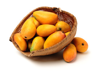Mango on a white background