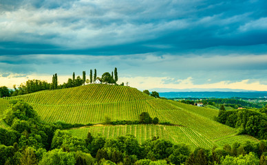 Fototapeta na wymiar South styria vineyards landscape, near Gamlitz, Austria, Europe. Grape hills view from wine road in spring. Tourist destination, travel spot.