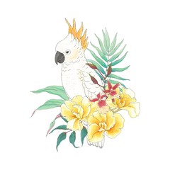 Cockatoo parrot with flowers Canna Tropicanna, orchid and leaves. Vector decor illustration in vintage style.