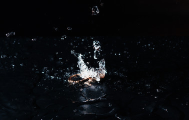 wedding rings with the water splash on black background