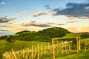 Fototapeta premium South styria vineyards landscape, near Gamlitz, Austria, Europe. Grape hills view from wine road in spring. Tourist destination, travel spot.