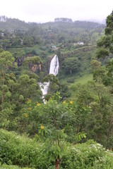 view from the mountain