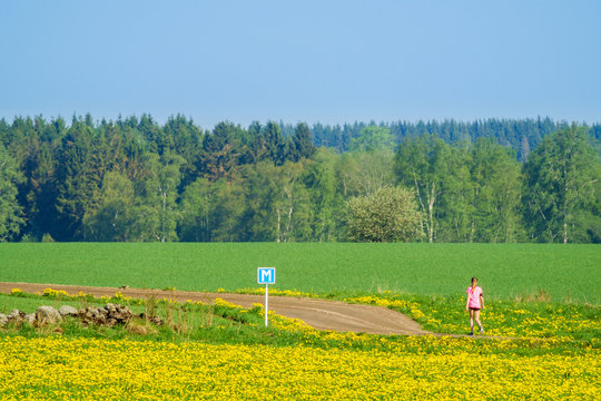 Girl walking on a dirt road with flowering dandelions on a meadow