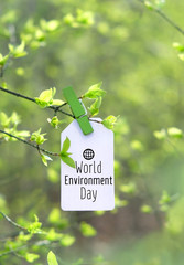 World environment day concept. Paper tag on green summer background. Earth Ecology, Save Earth Concept