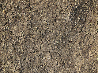 Cracked brown dry ground mud, dried under sun road.