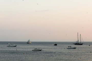 Yachts offshore in free sailing at sunset.