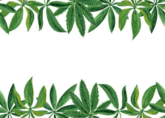 Seamless border with cannabis marijuana leaves on white background. Watercolor gouache hand drawn illustration in realistic style. Concept of smoling, plantation, drugs droduction, oil, food.