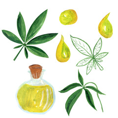 Cannabis oil in glass jar, leaf and drops isolated on white. Wand drawn watercolor gouache illustrations in realistic style. Concept of regeneration, skin care, regeneration, rejuvenation.