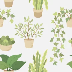 Deurstickers Planten in pot Veclor naadloos patroon met kamerplanten op witte achtergrond