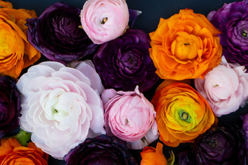 Flowers flat lay composition