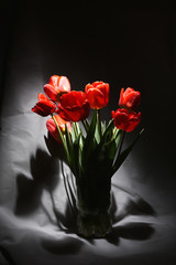 red tulips in a vase