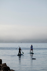 A person practicing paddle surf on the beach at sunrise Backlight.Silhouettes of people practicing surfing.
