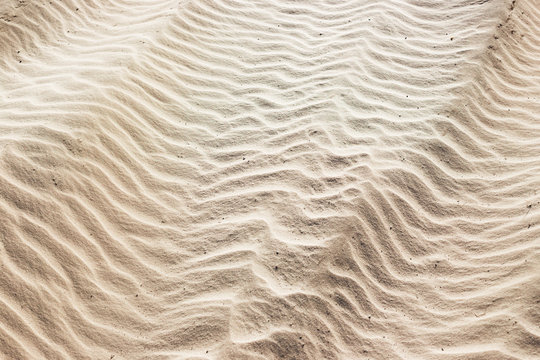 sand background on the beach