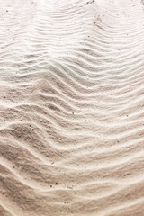 sand background on the beach