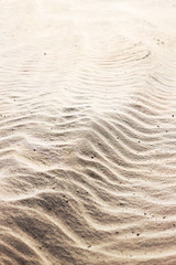 sand background on the beach