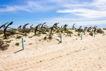 Tavira, Portugal. The Cemiterio das Ancoras (Anchor Cemetery), a major landmark in Praia do Barril beach in Ilha de Tavira island