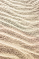 Obraz na płótnie Canvas sand background on the beach