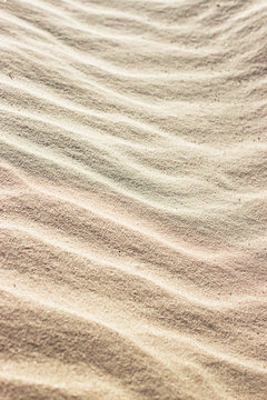sand background on the beach