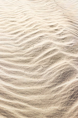 sand background on the beach