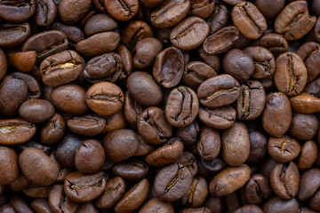 Roasted coffee beans, textured background close