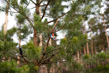 the rest of the new year's outfit on fir trees