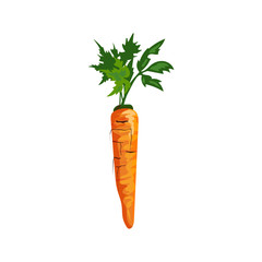 Orange carrot illustration. Vegetable, ground, growth, food. Farming concept. illustration can be used for topics like garden, kitchen, cooking