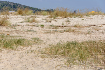 Beach with big sand dunes and marram grass with blue sky