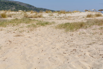 Beach with big sand dunes and marram grass with clear blue sky