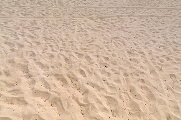 Beach with big sand dunes on a sunny day