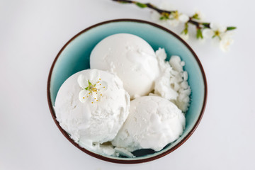 Obraz na płótnie Canvas Creamy white ice cream