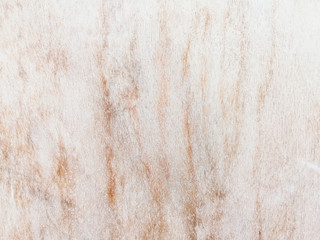 Wooden texture used to be a background for your design