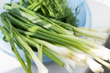 A bunch of fresh greens dill and onion for salad in a blue cup. Healthy and organic farm food