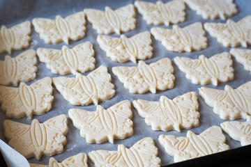 gingerbread on parchment paper in the form of butterflies with a pattern of cottage cheese and rice flour. on a gluten-free diet . raw cookies before baking