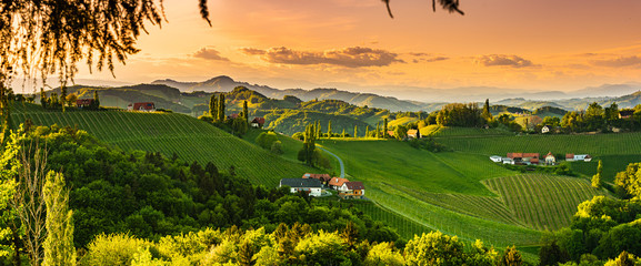 Panorama of vineyards hills in south Styria, Austria. Tuscany like place to visit.
