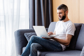 Handsome teleworker using laptop on sofa in living room