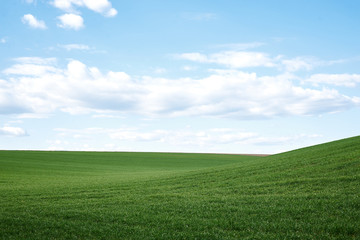 Beautiful field landscape. Countryside village rural natural background at sunny weather in spring summer. Green grass and blue sky with clouds. Nature protection concept.
