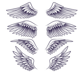 Hand drawn wing. Sketch angel wings with feathers, elements for logo, label or tattoo. Stencil silhouettes vintage isolated vector set