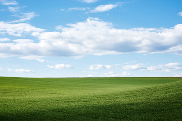 Beautiful field landscape. Countryside village rural natural background at sunny weather in spring summer. Green grass and blue sky with clouds. Nature protection concept.