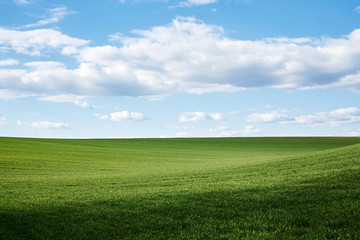 Fototapeta premium Beautiful field landscape. Countryside village rural natural background at sunny weather in spring summer. Green grass and blue sky with clouds. Nature protection concept.