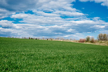 Beautiful field landscape. Countryside village rural natural background at sunny weather in spring summer. Green grass and blue sky with clouds. Nature protection concept.