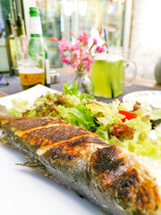 Delicious fresh grilled seabass served with lettuce, tomatoes and lemon slice on white plate ready to be eaten