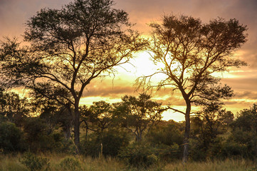 Obraz premium African Sunrise 