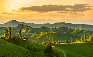 Fototapeta premium South styria vineyards landscape, near Gamlitz, Austria, Europe. Grape hills view from wine road in spring. Tourist destination, travel spot.