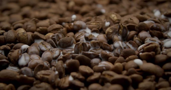 slow motion from 120 fps milk splash falling on coffee beans closeup
