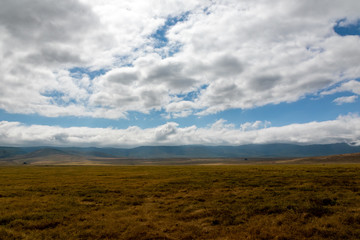Fototapeta na wymiar タンザニア・ンゴロンゴロの草原と青空・雲