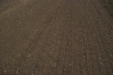 Soil surface background. Plowed sown agricultural field with black fertile soil, prepared for a farmland.