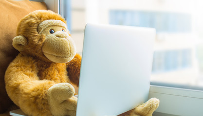 Plush monkey with a laptop on the windowsill close-up. The concept of online communication