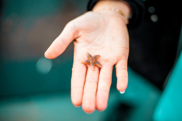 Girl holding starfish in hand