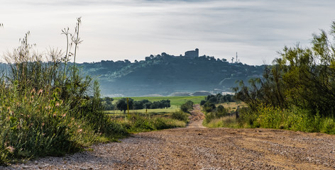 Obraz premium landscape in the mountains
