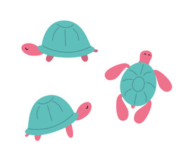 Set of cute turtles isolated on white background. Illustration in flat style 